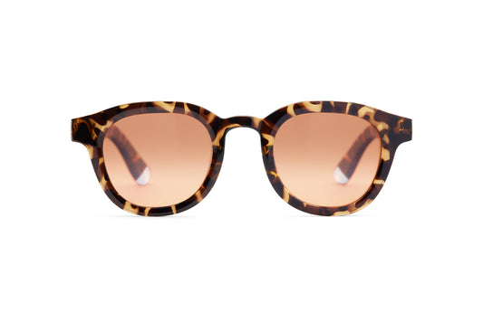 Barner Andy Glossy Tortoise Amber Sun