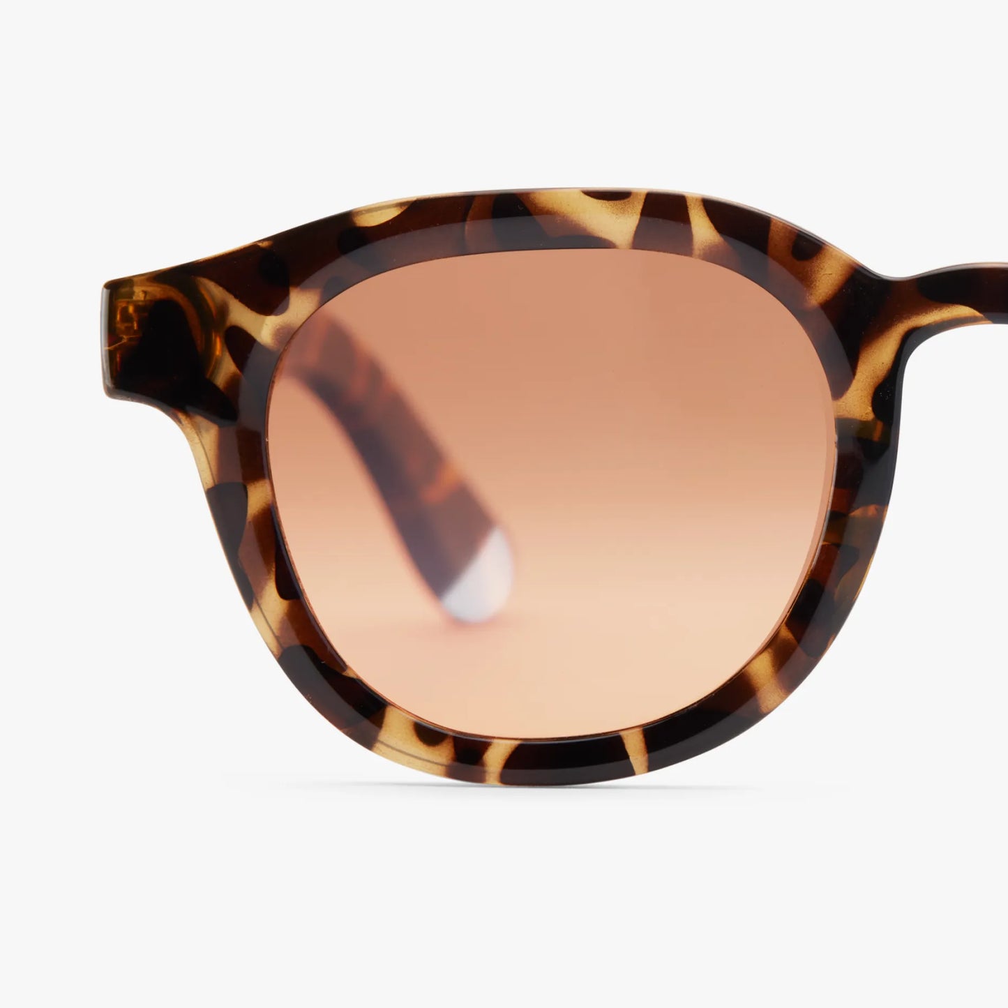 Barner Andy Glossy Tortoise Amber Sun