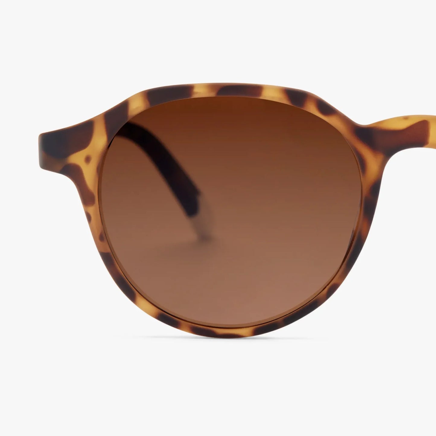 Barner Chamberi Tortoise Sun