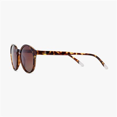 Barner Le Marais Glossy Tortoise Sun