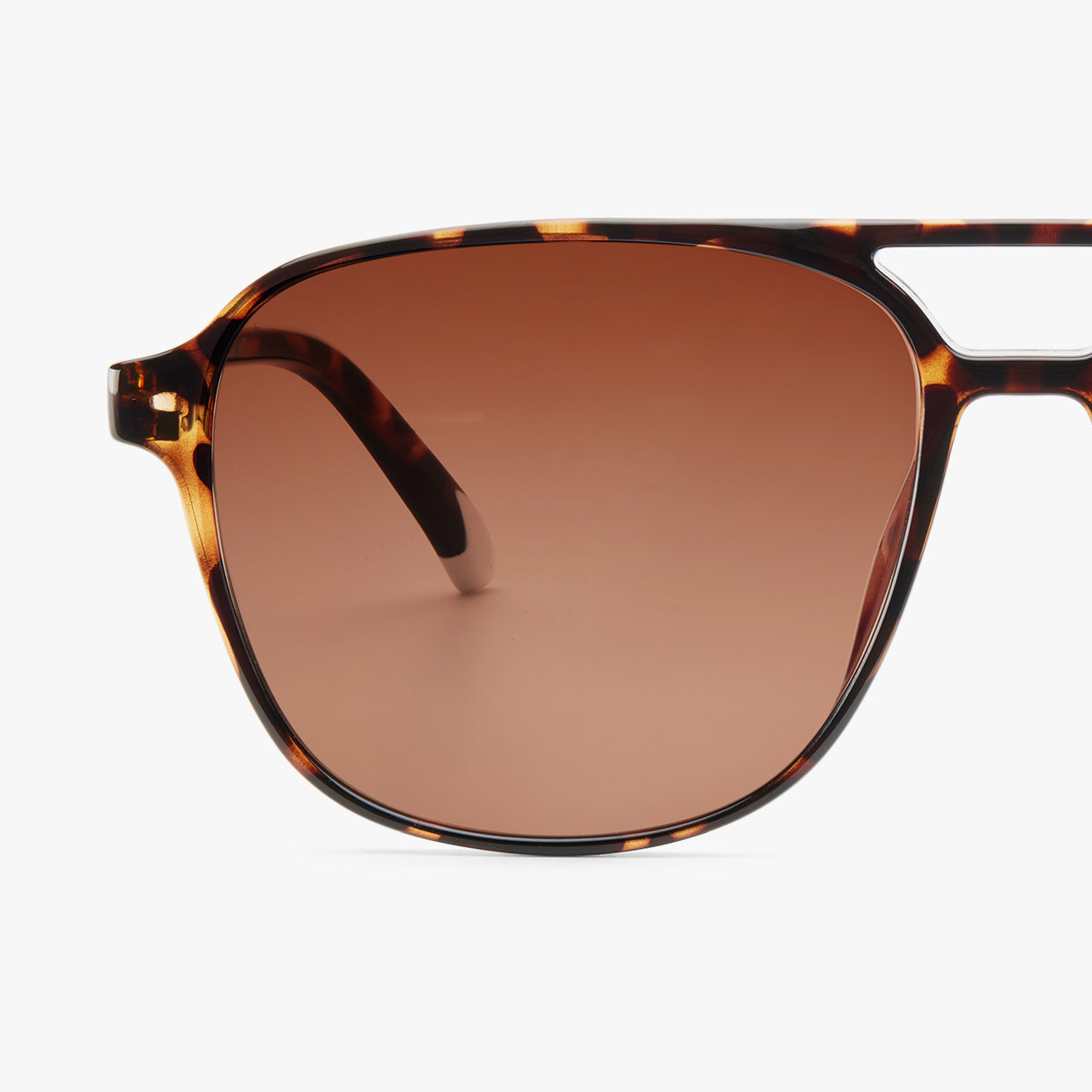 Barner Brad Glossy Tortoise Sun