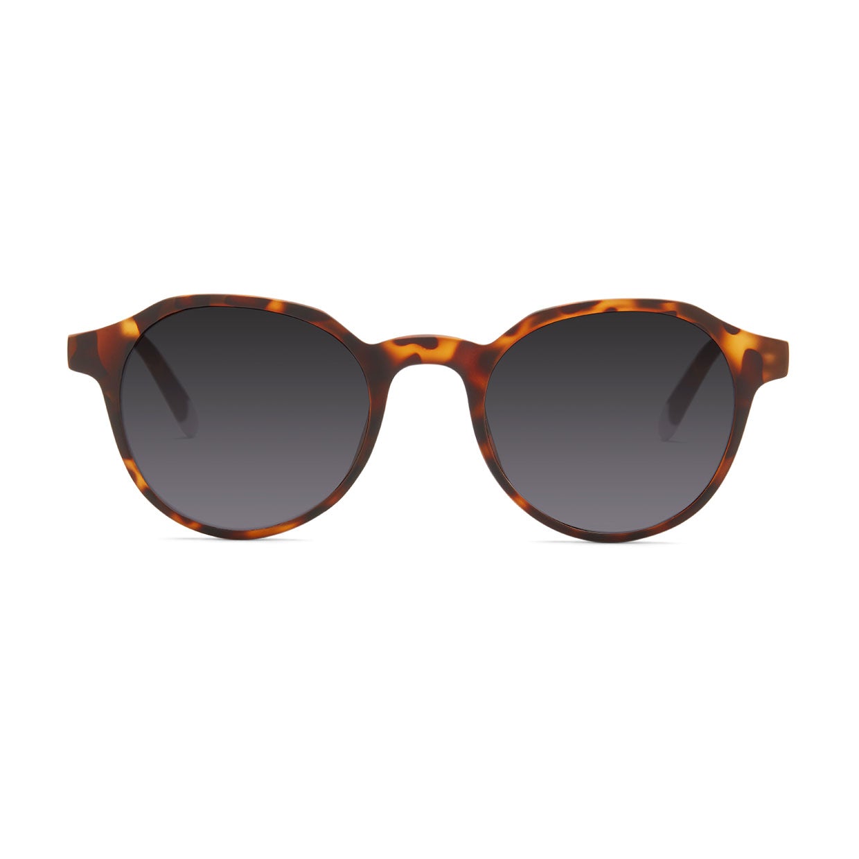 Barner Chamberi Tortoise Sun