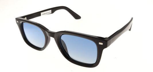 Polar View PV220A