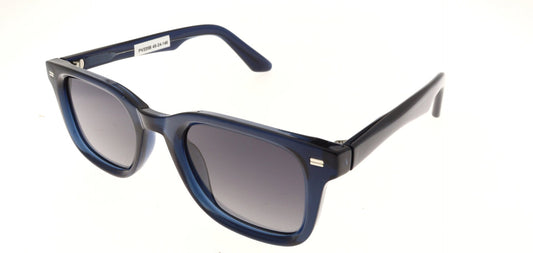 Polar View PV220B
