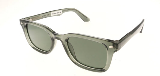 Polar View PV220C