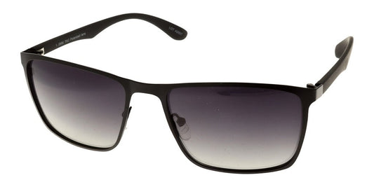 Polar View PV500A