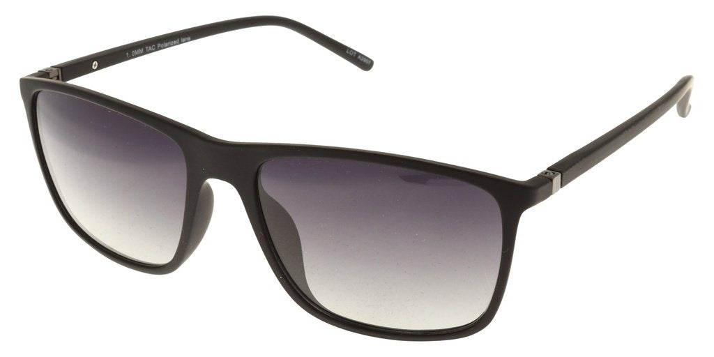 Polar View PV600A