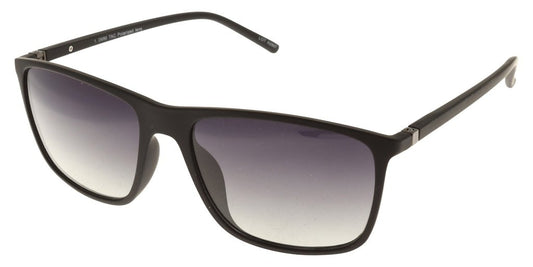 Polar View PV600A