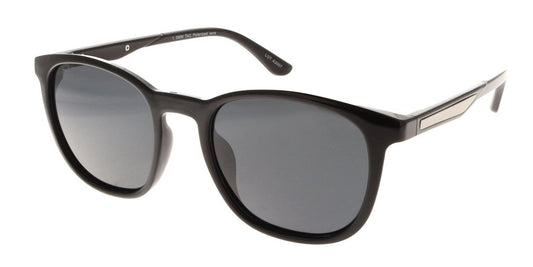 Polar View PV604B