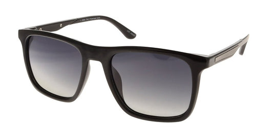 Polar View PV606A