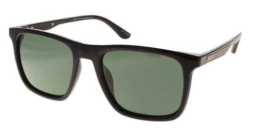 Polar View PV606C