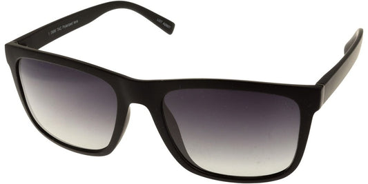 Polar View PV610A