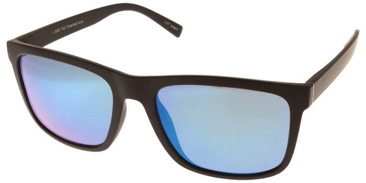 Polar View PV610B
