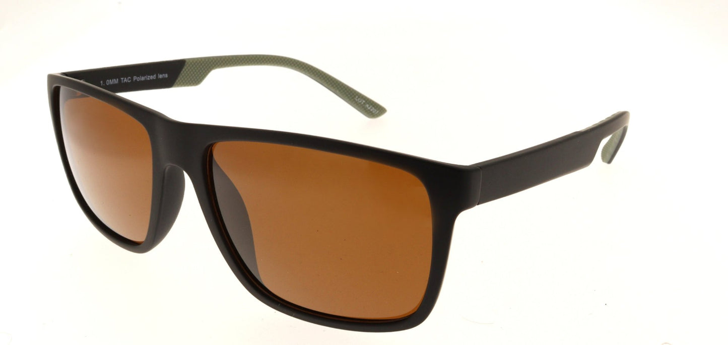Polar View PV620B