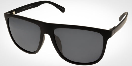 Polar View PV630A