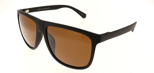 Polar View PV630B