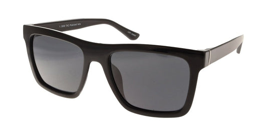 Polar View PV650A