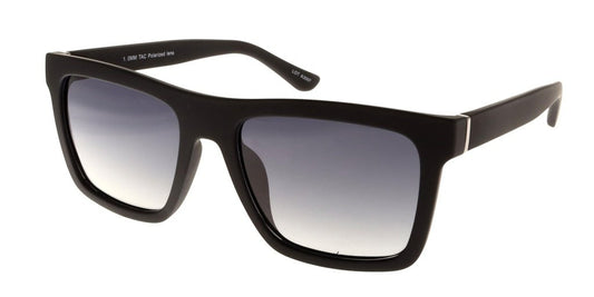 Polar View PV650D