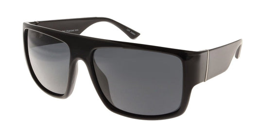 Polar View PV654A