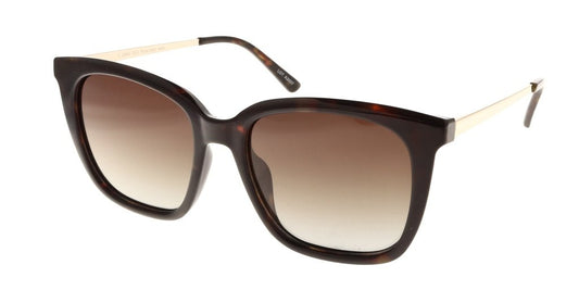 Polar View PV840D