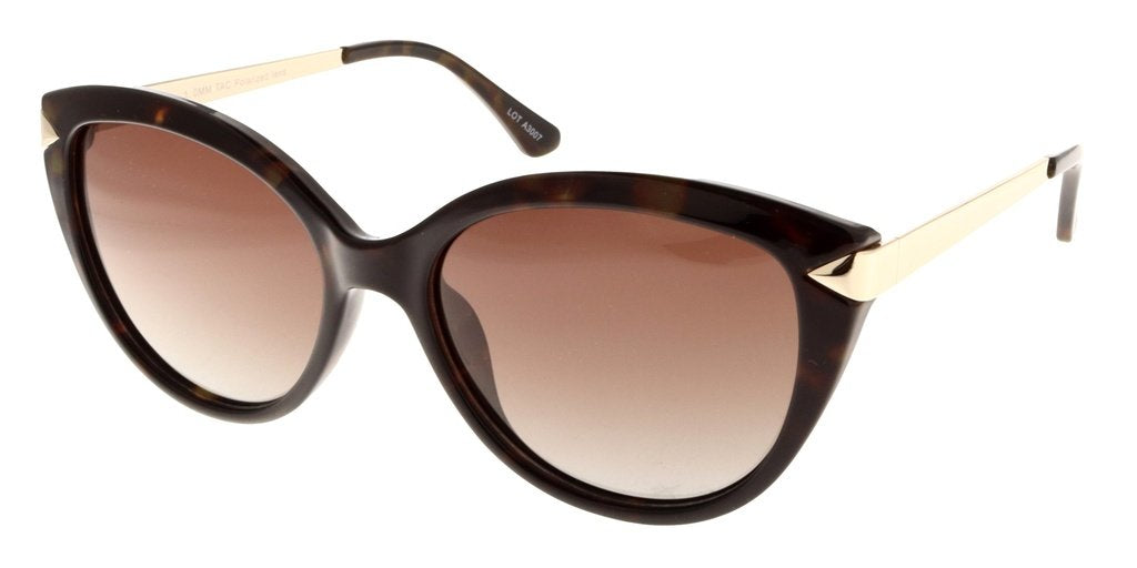 Polar View PV850D