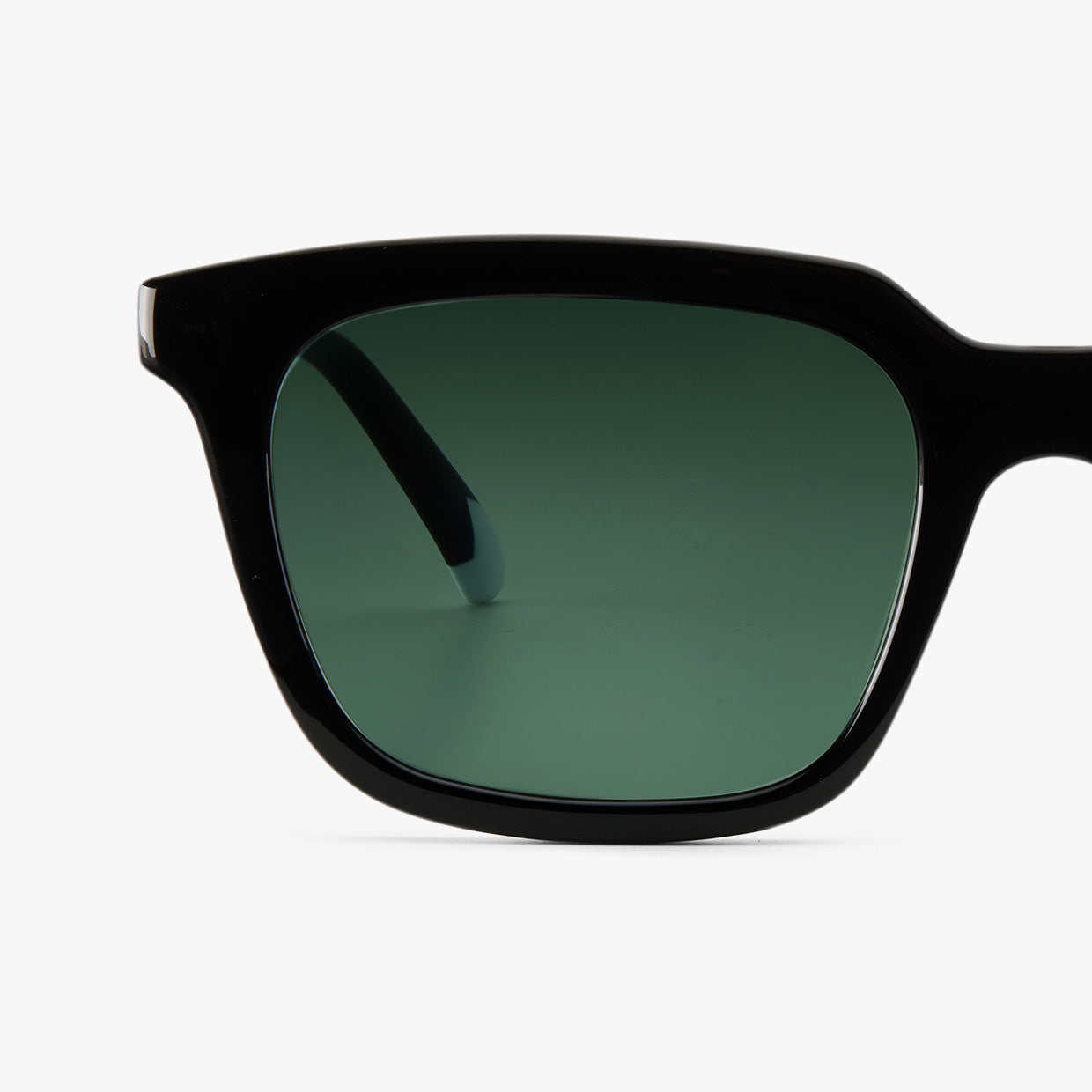 Barner Holly Glossy Black Sun