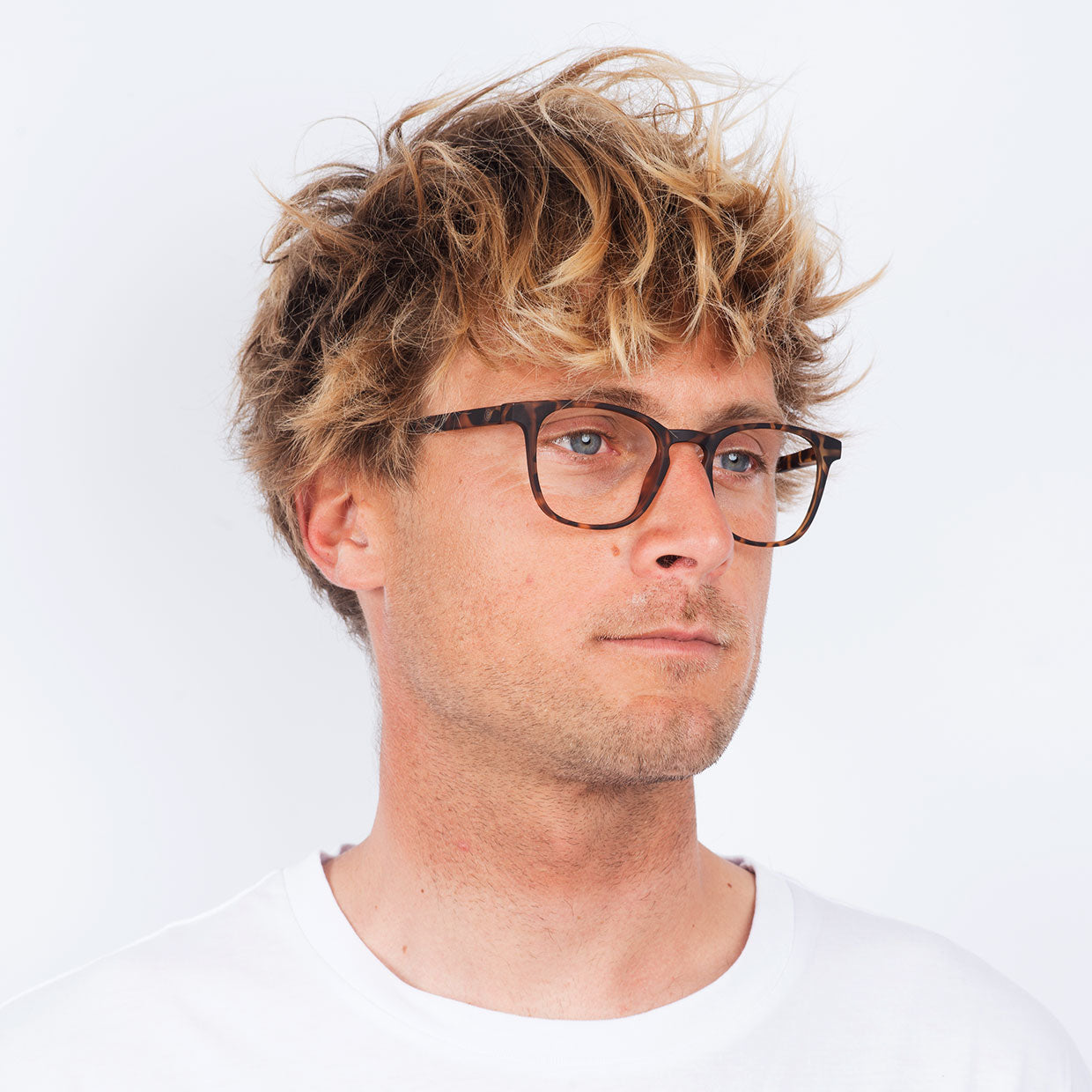 Barner Dalston Tortoise