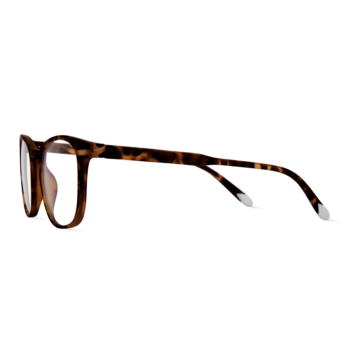 Barner Dalston Tortoise