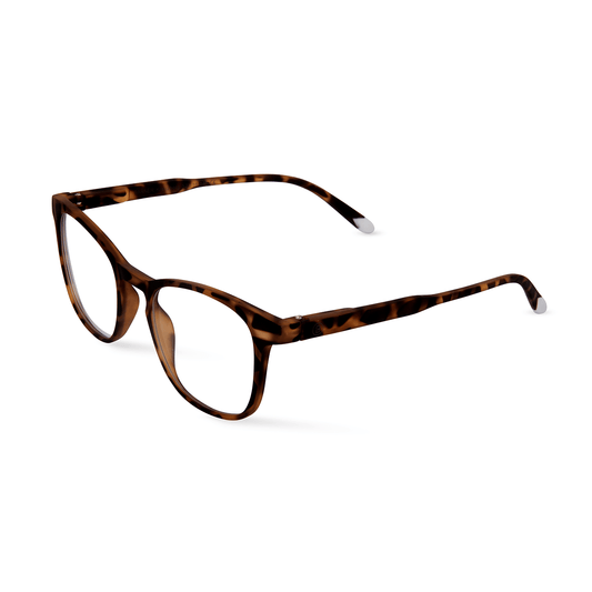 Barner Dalston Tortoise